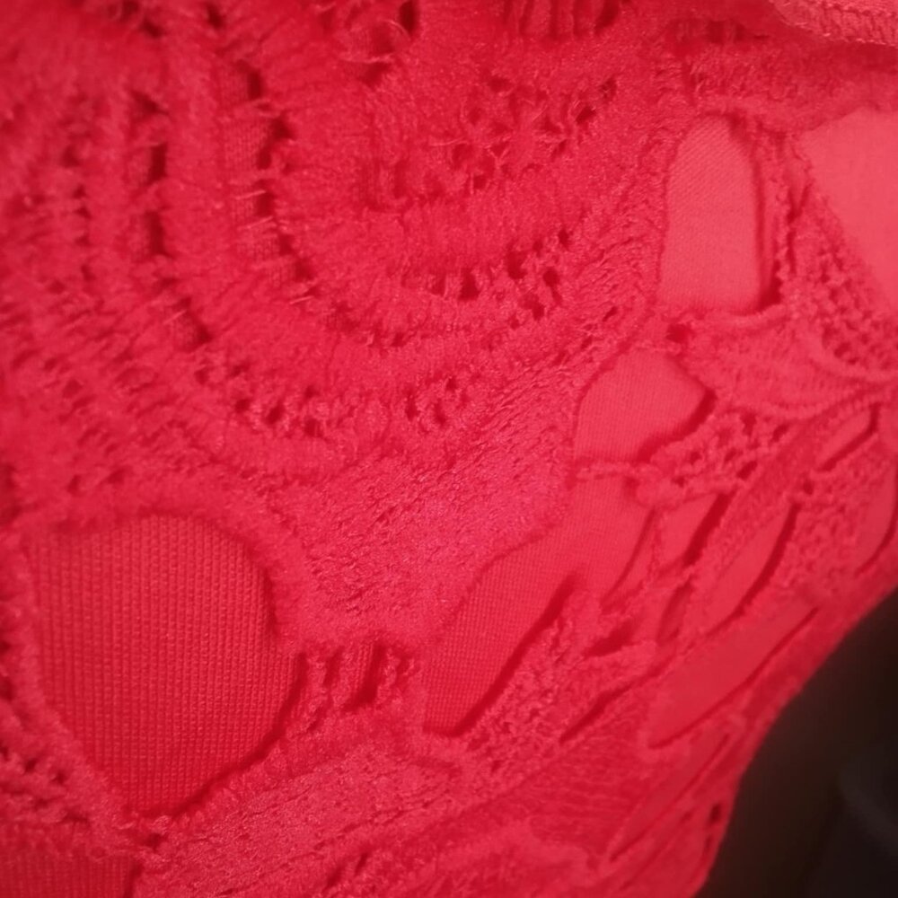 SEXY RED LACE RUFFLE DRESS BNWT - Picture 8 of 13